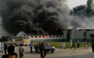 China-Chicken-Farm-Fire-100-Dead