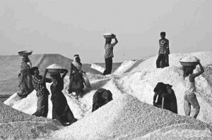 salt-workers-1