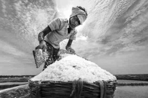 salt-workers-5