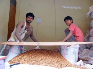 Almond worker