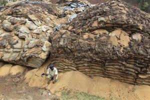 A watchman sits next to stacked sacks of rotten wheat crop at Dera Mir Miran village